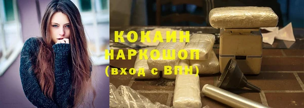 индика Армянск