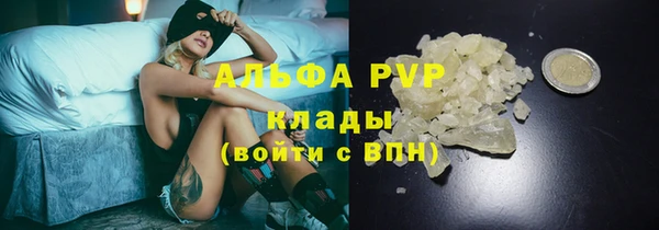 индика Армянск