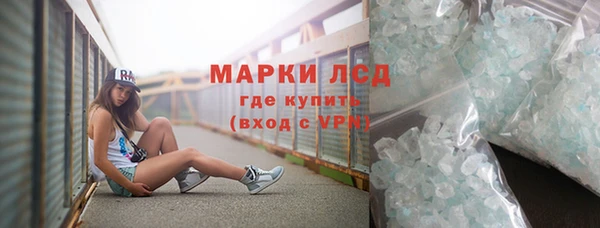 мяу мяу мука Аркадак