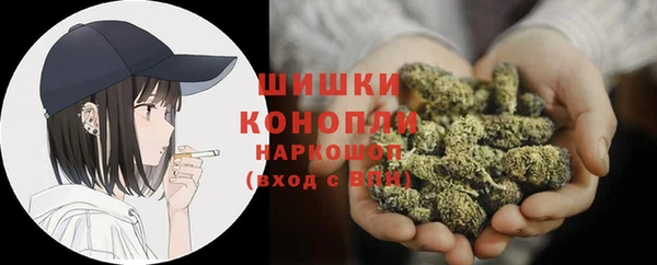 ПСИЛОЦИБИНОВЫЕ ГРИБЫ Арсеньев