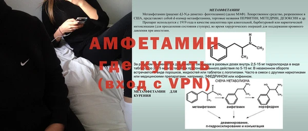 мяу мяу мука Аркадак