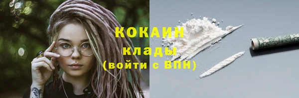 индика Армянск