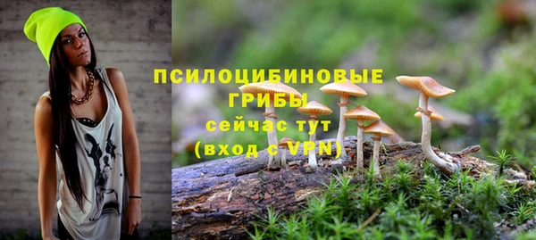 индика Армянск