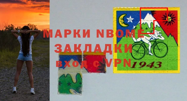ПСИЛОЦИБИНОВЫЕ ГРИБЫ Арсеньев