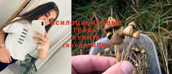 ПСИЛОЦИБИНОВЫЕ ГРИБЫ Арсеньев
