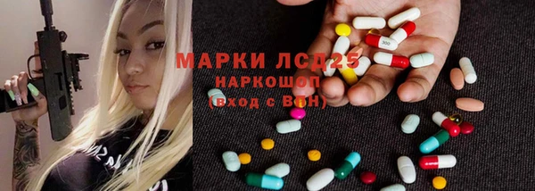 мяу мяу мука Аркадак